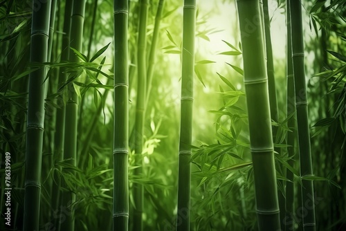 Green bamboo wallpaper. Nature background with beautiful bamboo forest.