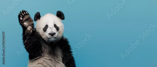 Fototapeta na wymiar A playful adorable panda bear waving his paw on a pastel blue background, giving a friendly and welcoming vibe