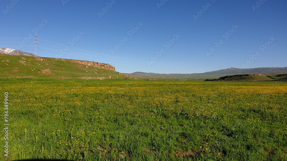 Fototapeta premium landscape