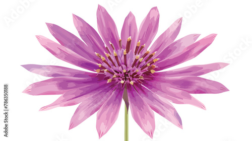 Salsify flower closeup macro realistic illustration. vector