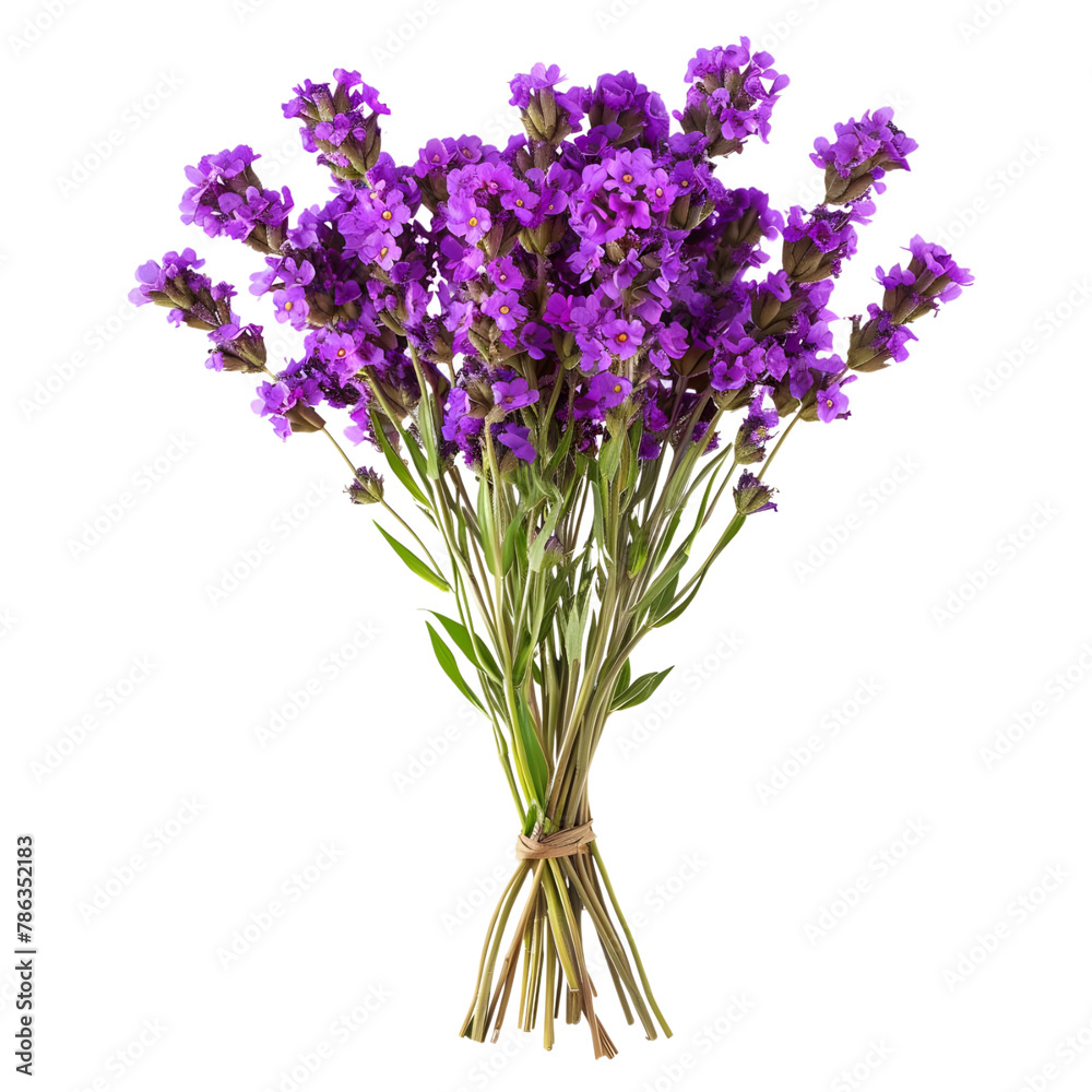 Purple Petal Parade: Assortment of Beautiful Purple Flowers from Various Breeds Isolated on Transparent Background