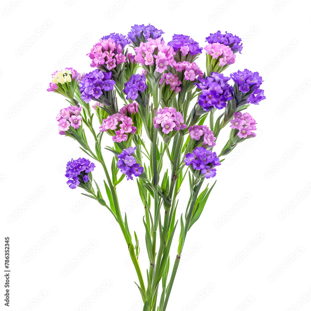Obraz premium Purple Petal Parade: Assortment of Beautiful Purple Flowers from Various Breeds Isolated on Transparent Background