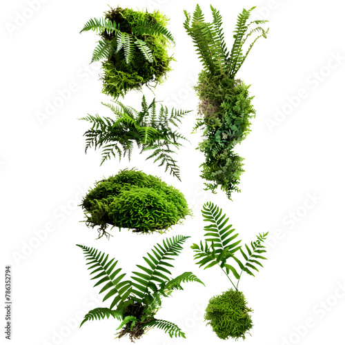 Vibrant Greens: Set of Beautiful Herbs and Shrubs Isolated on Transparent Background