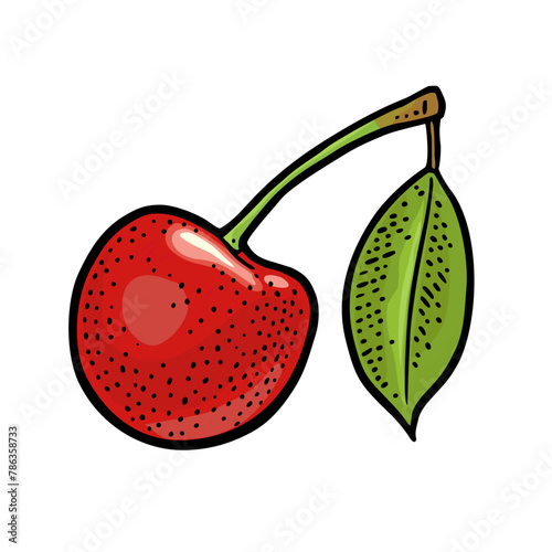 Whole cherry berry with leaf. Vector color vintage engraving illustration. Isolated on white background © MoreVector