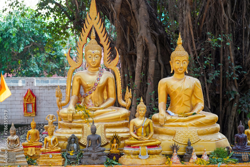 Buddha Statue banyan tree background in Wat Nongtakrong park of Thailand temple , Sonkran festival day in thai.