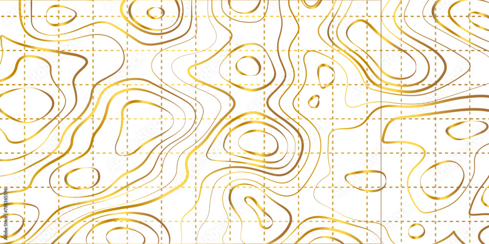 Fototapeta premium The stylized height of the topographic map contour in lines and contours. The concept of a conditional geography scheme and the terrain path. Golden lines on a white background. Vector illustration.
