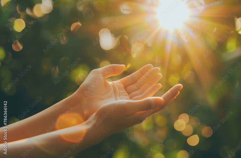 Hands, pray and person with worship, flare and believe for grace, light and forgiveness with gratitude. Sunshine, Christian and outdoor with nature and praise with faith and spiritual with compassion - obrazy, fototapety, plakaty 