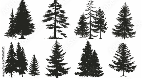 Pine tree silhouettes. Evergreen forest firs and spruces black shapes, wild nature trees templates. Vector illustration woodland trees set on white background © Alon
