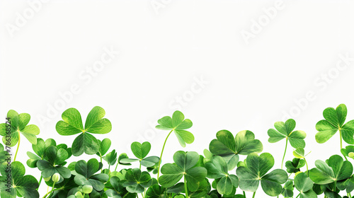 Fresh green clover leaves on white background banner 