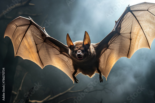 a bat flying through the air with its wings spread out