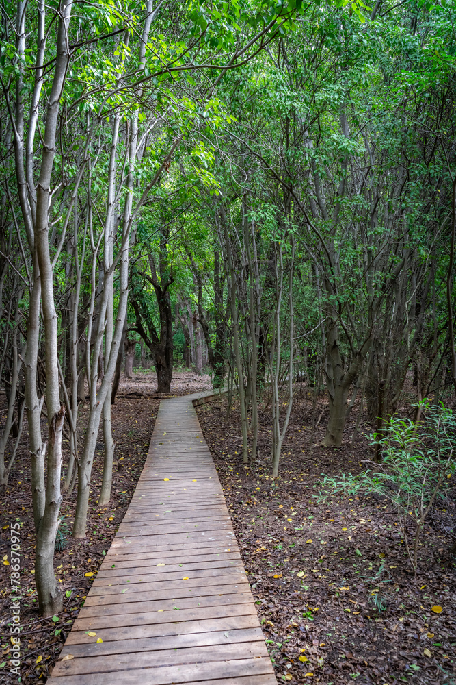 walking in the Mundi on Curacao walking in the Mundi on Curacao