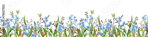 Seamless border Meadow with blue flowers © ARTBRUSH
