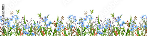 Seamless border Meadow with blue flowers