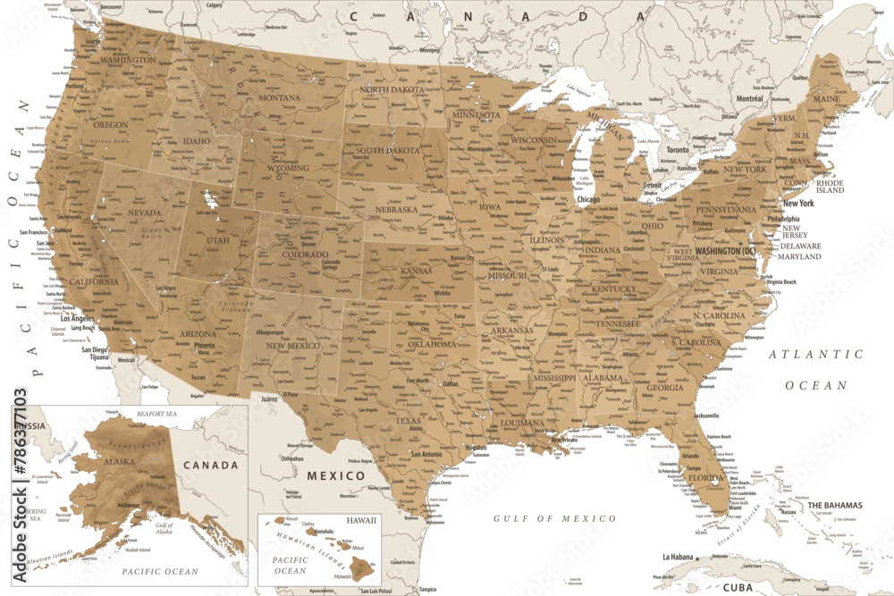 United States - Highly Detailed Vector Map of the USA. Ideally for the Print Posters. Golden Brown Beige Retro Colors - obrazy, fototapety, plakaty 