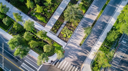 An aerial perspective showcasing a street lined with trees from above