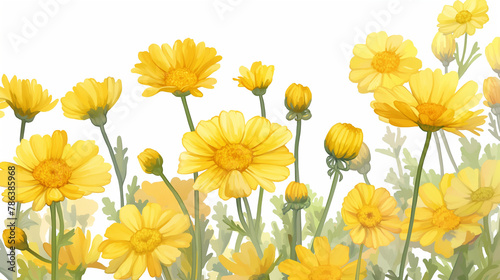 Flores amarelas no fundo branco - Ilustração