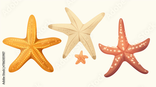 Estrela do mar no fundo branco - Ilustração