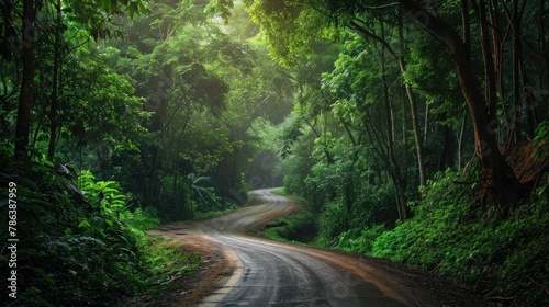 Forest road at Khaoyai National Park (The World Heritage of nature) Thailand photo