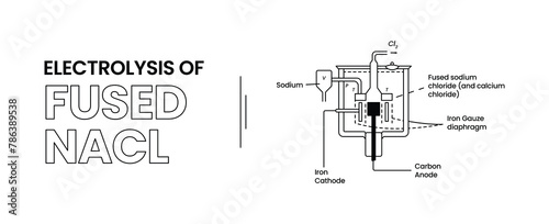 Electrolysis of Fused NACL
