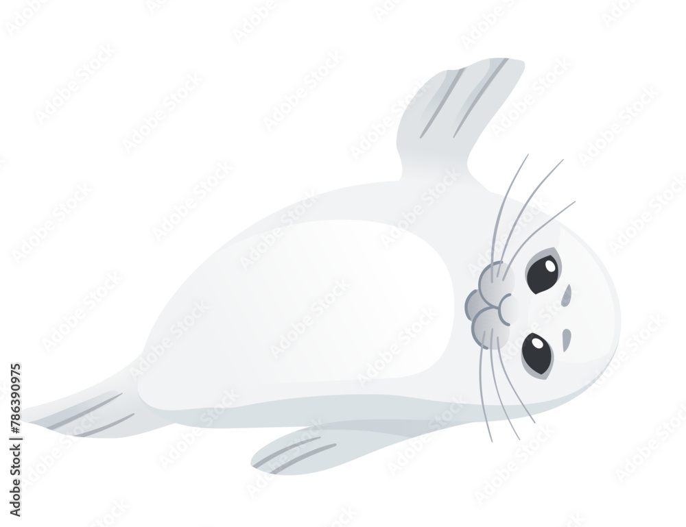 Cute white seal child mammal arctic animal cartoon animal design vector illustration isolated on white background Cute white seal child mammal arctic animal cartoon animal design vector illustration isolated on white background