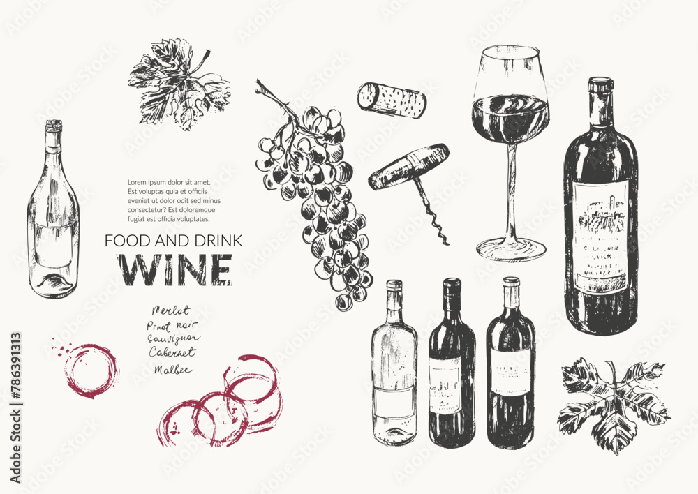 Vector wine illustration. Wine bottle, glass, wine stains, cork, corkscrew, grape bunch, vine leaf, marks. For food and drink background, wine list, cafe menu. - obrazy, fototapety, plakaty 