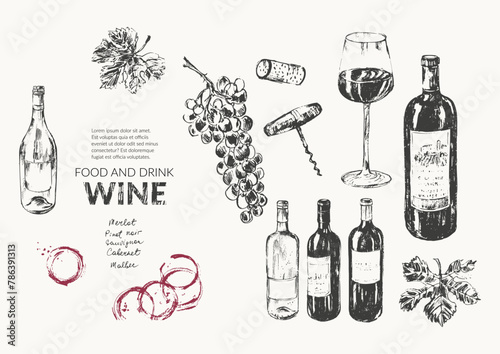 Vector wine illustration. Wine bottle, glass, wine stains, cork, corkscrew, grape bunch, vine leaf, marks. For food and drink background, wine list, cafe menu.