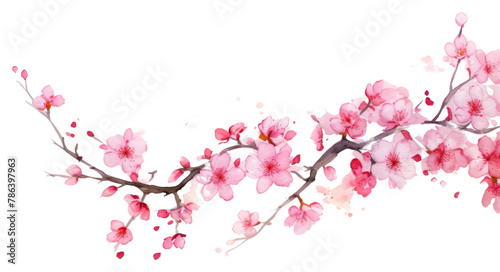 PNG Cherry blossom border flower cherry plant