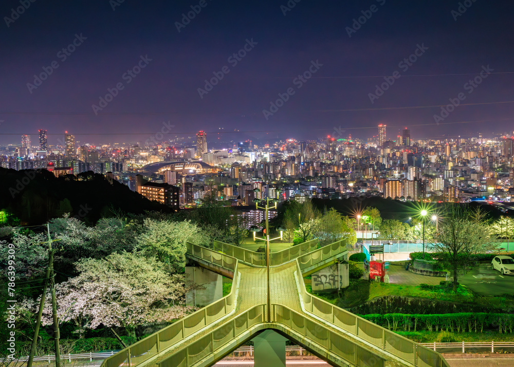 Fototapeta premium 桜満開の竜王公園から眺める広島市街夜景(広島県広島市)