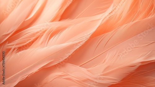 delicate light airy feathers of light peach color, beauty banner, copy space