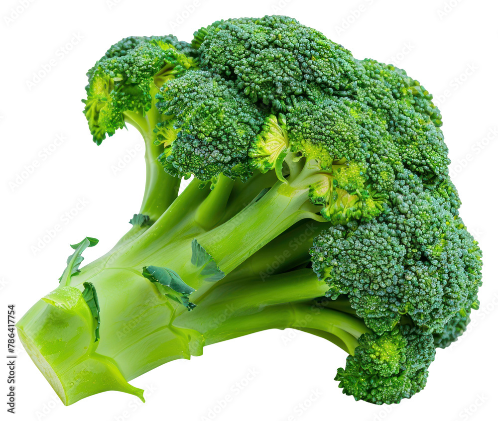 Naklejka premium PNG Broccoli floret vegetable produce animal.