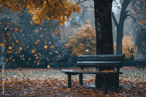 Lonely wooden bench under a tree with falling leaves around it