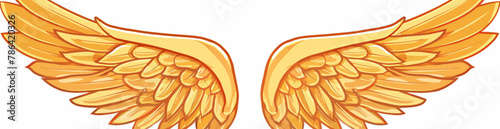 a pair of golden wings on a white background