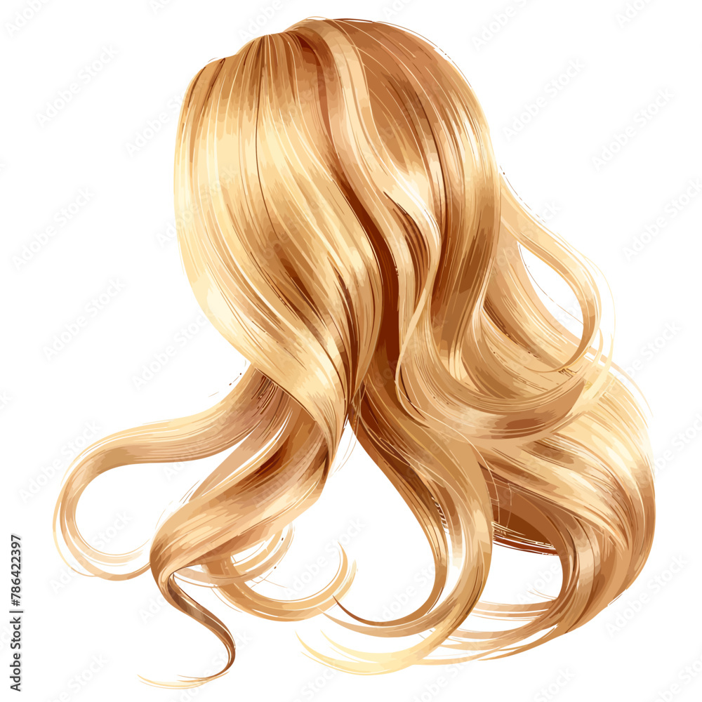 a long blonde hair is shown on a white background