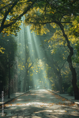 Enchanting Sunbeams Filtering Through Autumn Trees on a Quiet Street