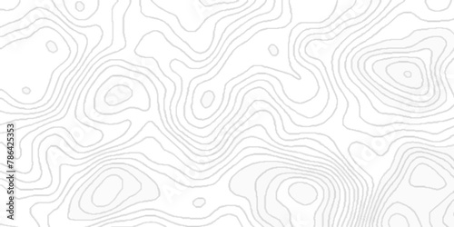 Map on land vector terrain with various geometric lines, abstract stripes map and landscape terrain texture grid, Detailed Contour Topographic Map Of Wild West with modern curved geometric lines.