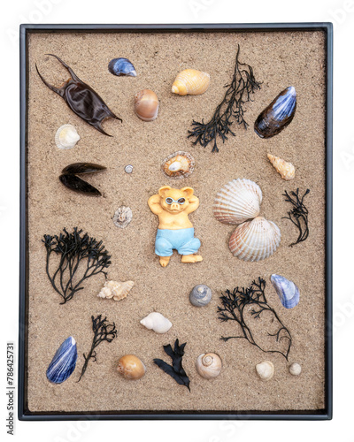 Life's a beach - flat lay image with bear, seashells, sand and seaweed.