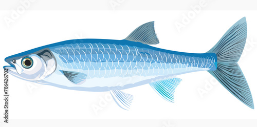 a blue fish with a white background