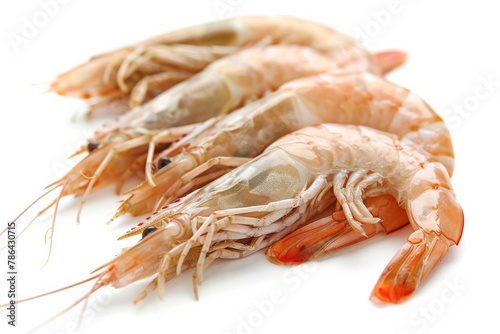A cluster of shrimp gather on a plain white surface.