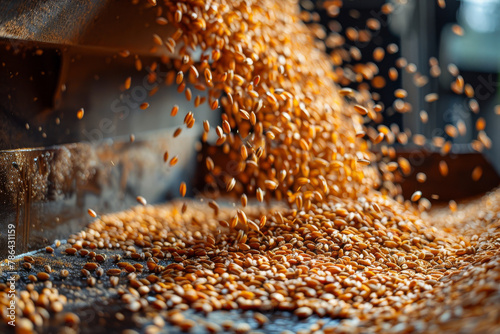 Golden Wheat Grains Pouring in Agriculture Harvest Scene