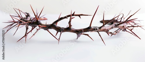 Crowned with thorns on white photo