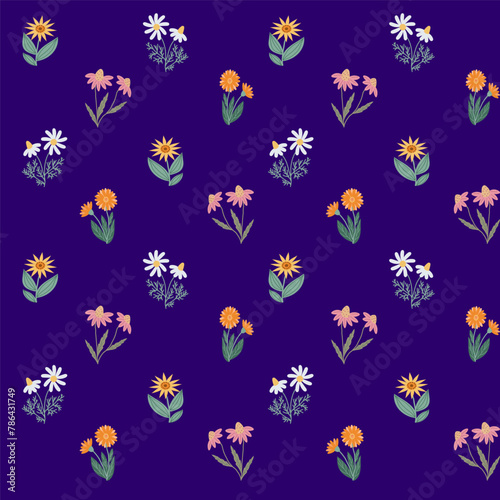 Seamless pattern with hand-drawn Echinacea purpurea, chamomilla, calendula, arnica in a flat style, medicinal and homeopathic plants, aromatherapy, for decoration and design.