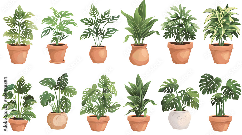Fototapeta premium Portrait of potted plants, transparent images