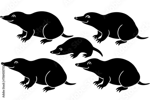 Mole silhouette vector illustration white background