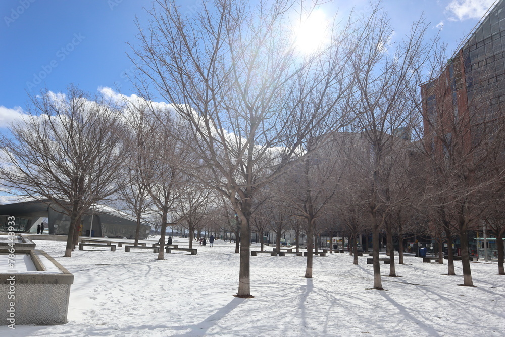 Naklejka premium Snow