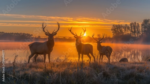 sunrise over a mist-covered lake, with the silhouette of wildlife in the foreground