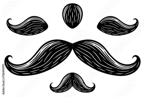 the mustache Vector Illustration