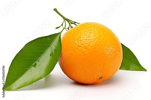 Orange with leaf fruit on white background
