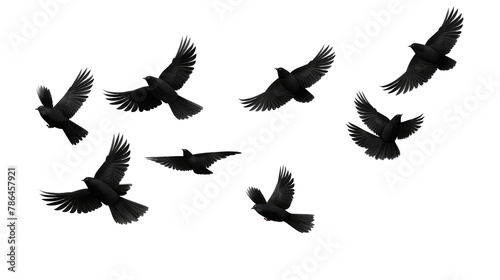 flock of birds. set of birds, birds in flight On transparent background 