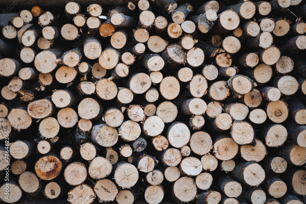 A tower of logs creates a rustic pattern in the light A tower of logs creates a rustic pattern in the light