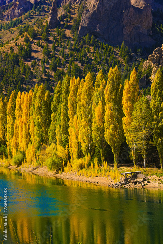 Transparent River in southern Argentina, Bariloche and San Martin de los Andes, Patagonia Route 40. Poplars in autumn changing color to yellow-green